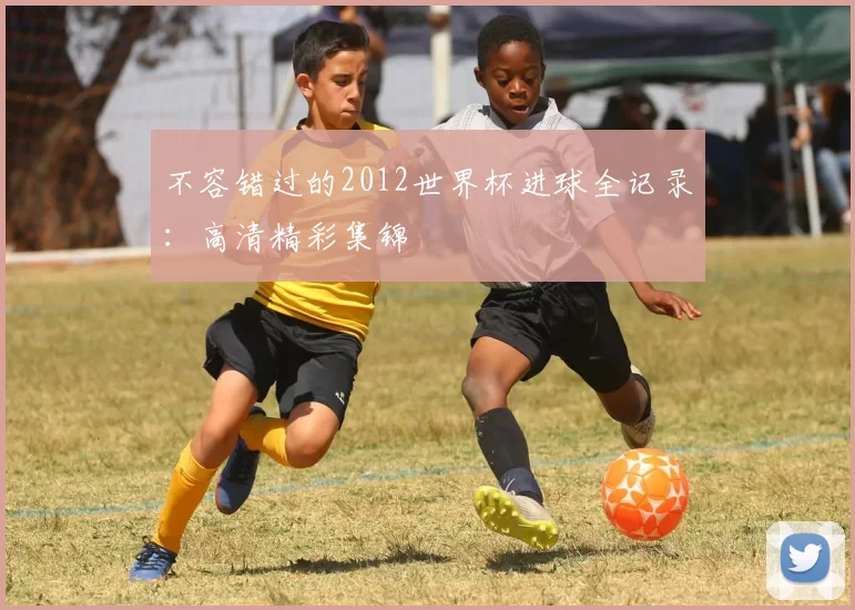 不容错过的2012世界杯进球全记录：高清精彩集锦
