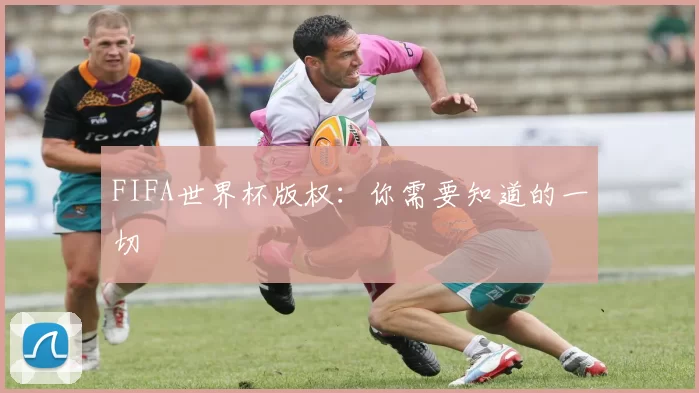 FIFA世界杯版权：你需要知道的一切