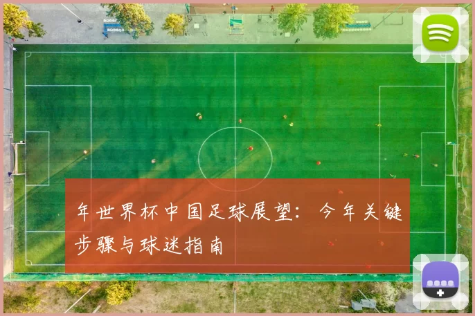 年世界杯中国足球展望：今年关键步骤与球迷指南