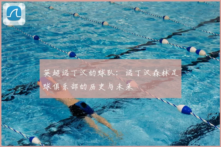英超诺丁汉的球队：诺丁汉森林足球俱乐部的历史与未来