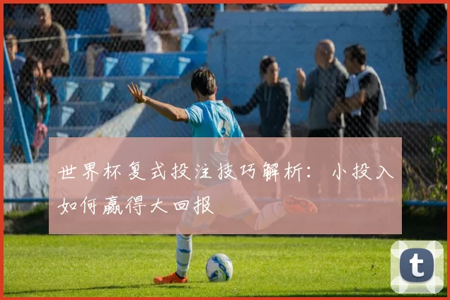 世界杯复式投注技巧解析：小投入如何赢得大回报