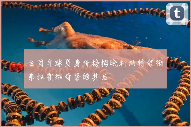 合同年球员身价榜揭晓科纳特领衔弗拉霍维奇紧随其后
