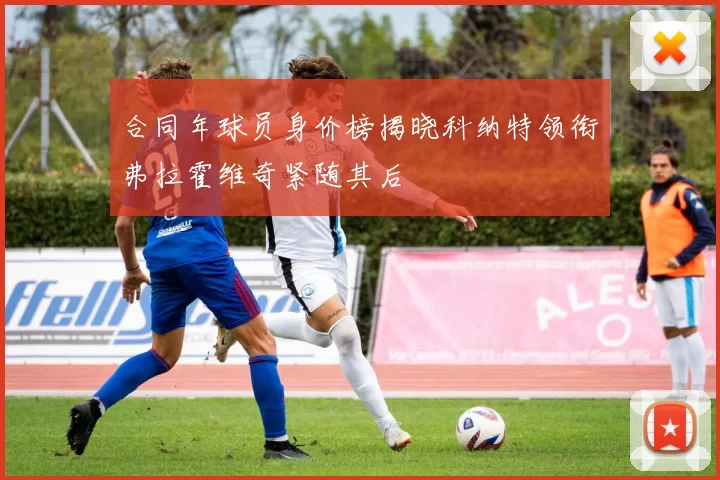 合同年球员身价榜揭晓科纳特领衔弗拉霍维奇紧随其后