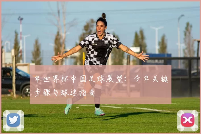 年世界杯中国足球展望:今年关键步骤与球迷指南