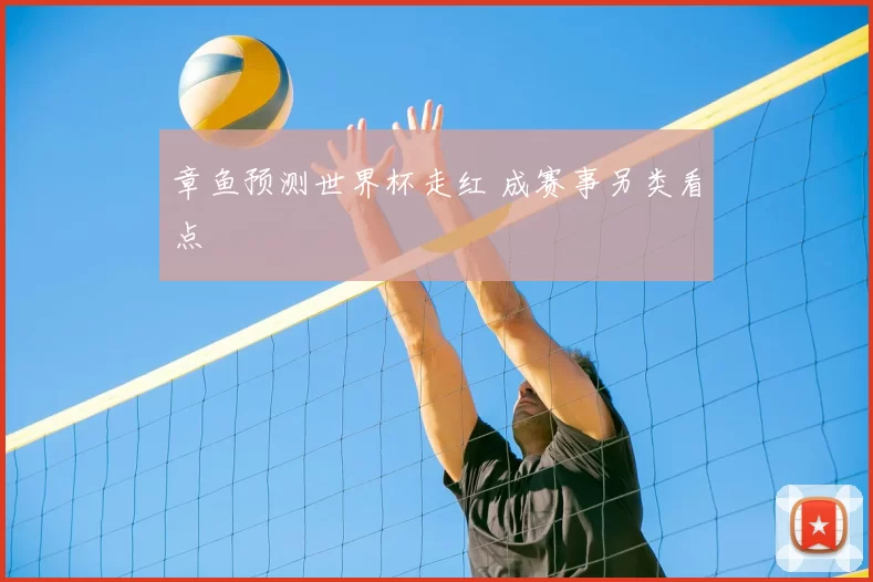 章鱼预测世界杯走红 成赛事另类看点