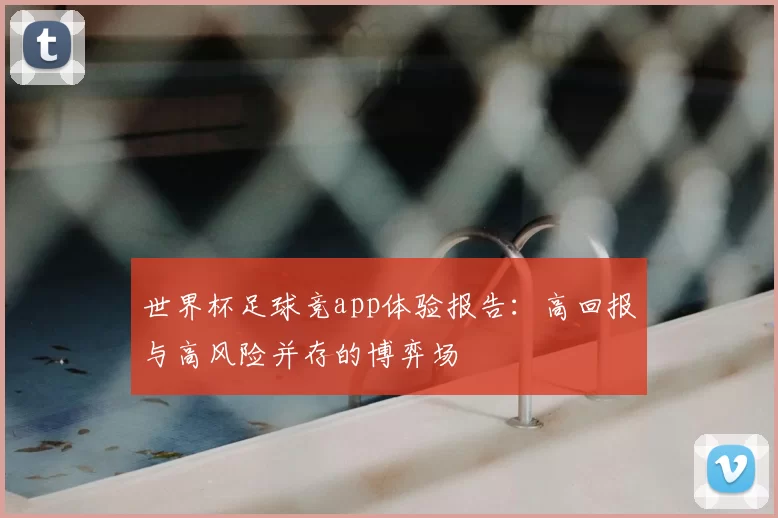 世界杯足球竞app体验报告：高回报与高风险并存的博弈场