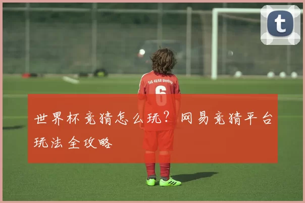 世界杯竞猜怎么玩？网易竞猜平台玩法全攻略