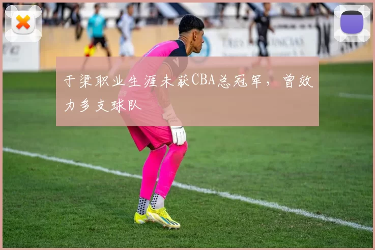 于梁职业生涯未获CBA总冠军，曾效力多支球队