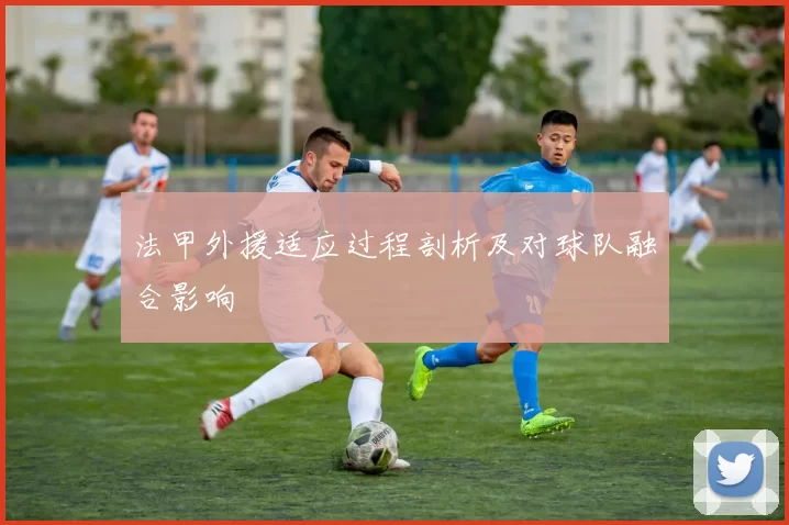 法甲外援适应过程剖析及对球队融合影响