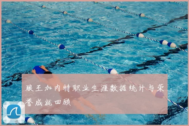 狼王加内特职业生涯数据统计与荣誉成就回顾