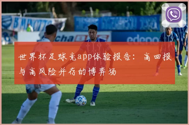 世界杯足球竞app体验报告:高回报与高风险并存的博弈场
