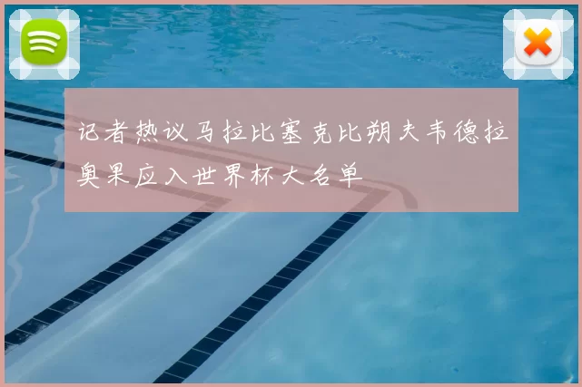 记者热议马拉比塞克比朔夫韦德拉奥果应入世界杯大名单