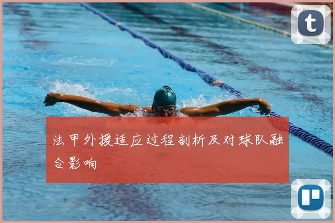 法甲外援适应过程剖析及对球队融合影响