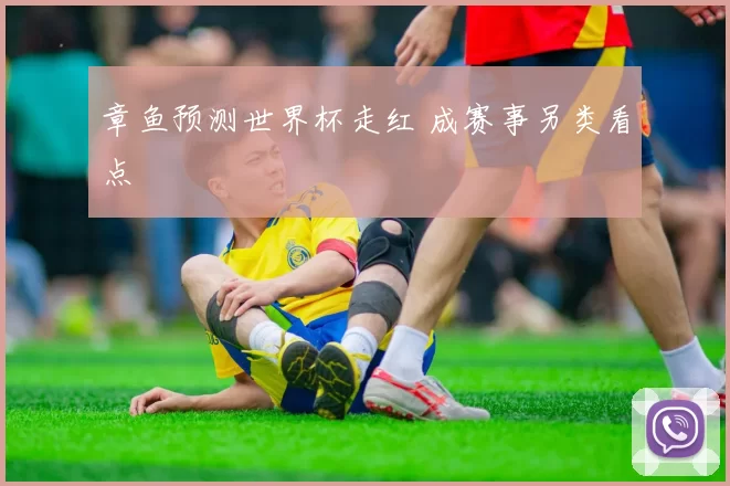 章鱼预测世界杯走红 成赛事另类看点